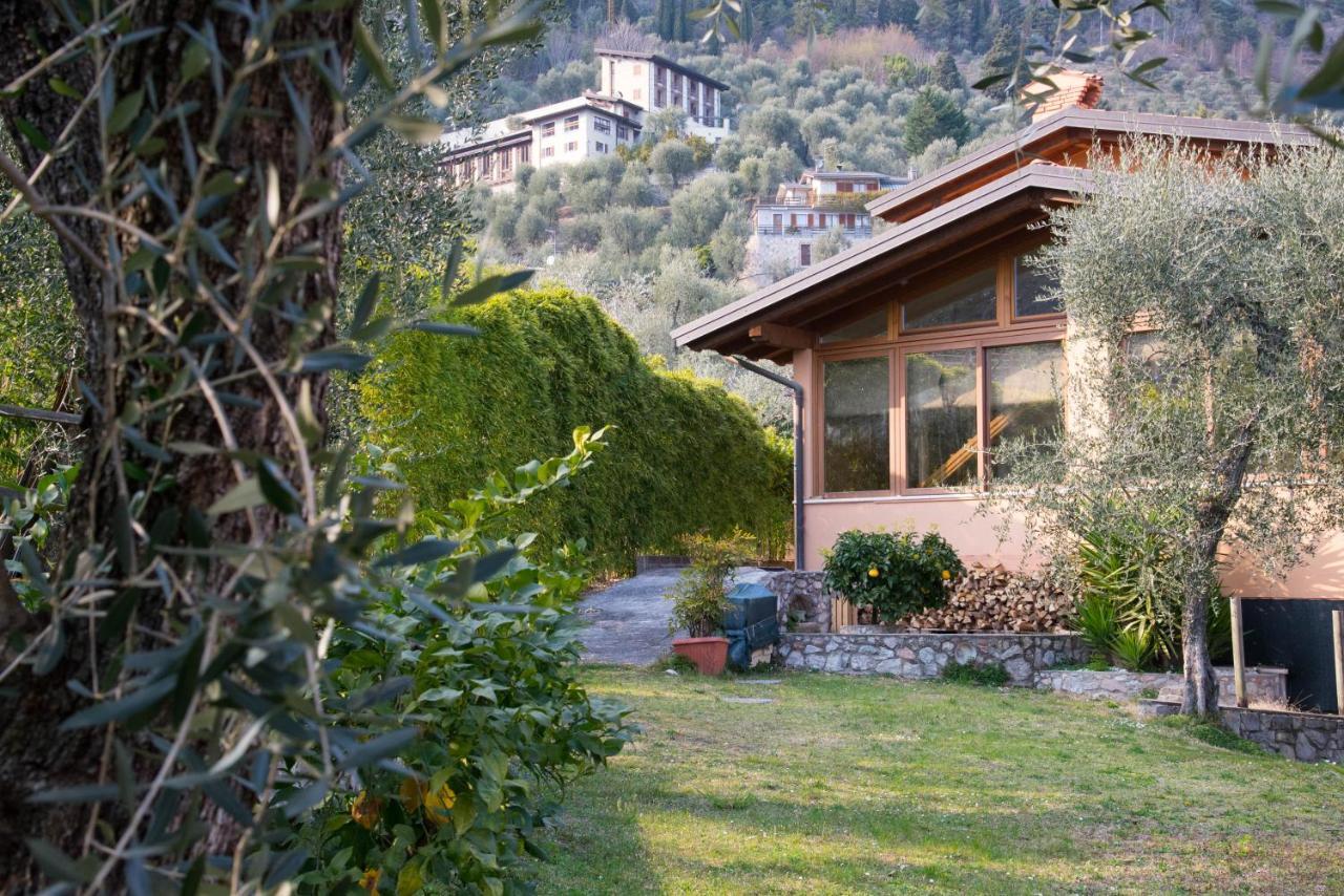 Guesthouse "Villa Tamas" ลีโมเนซุลการ์ดา ภายนอก รูปภาพ